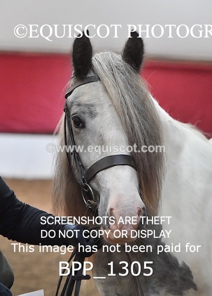 BPP_1305 - MORNING 9AM - 12PM