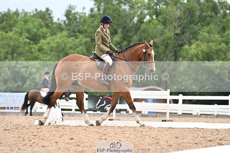 250705-175521-03978 - BRCP4 Sections BRCP4SNR, BRCP4JNR 13.50 to 14.53