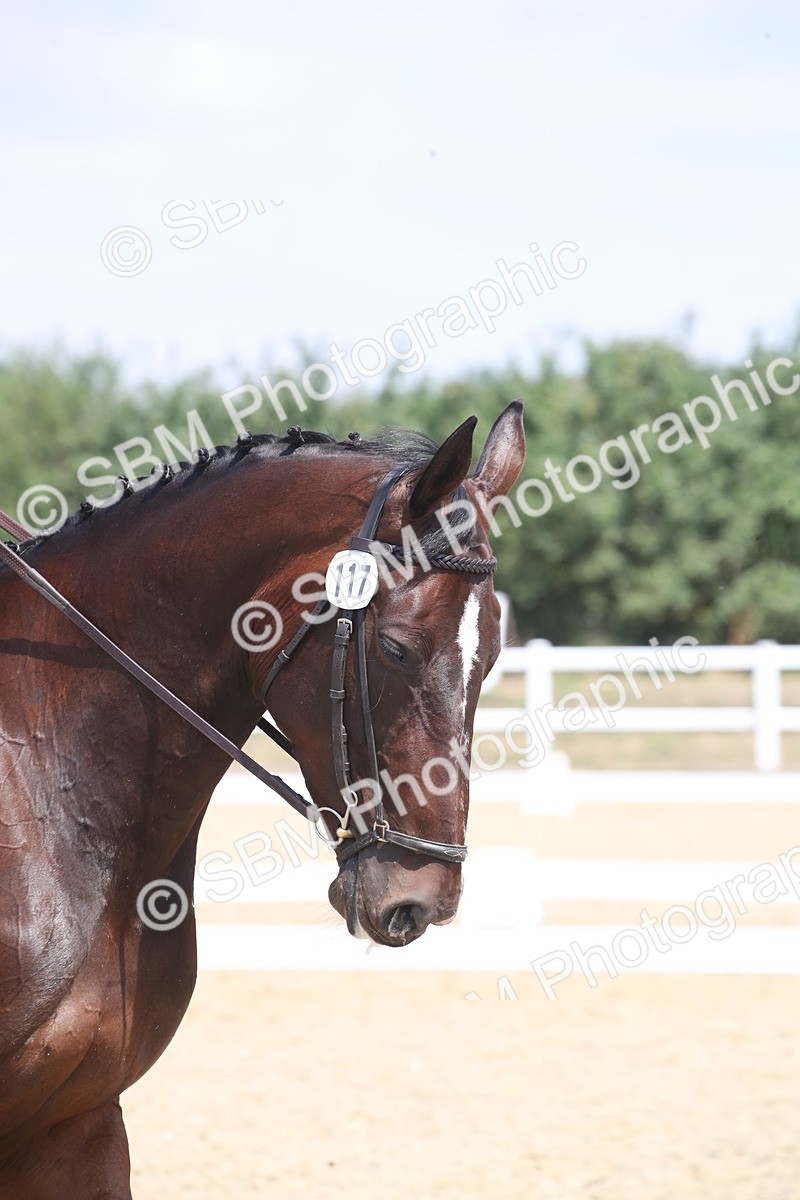 SBM_008090 - Novice 5 - 10.56-13.12