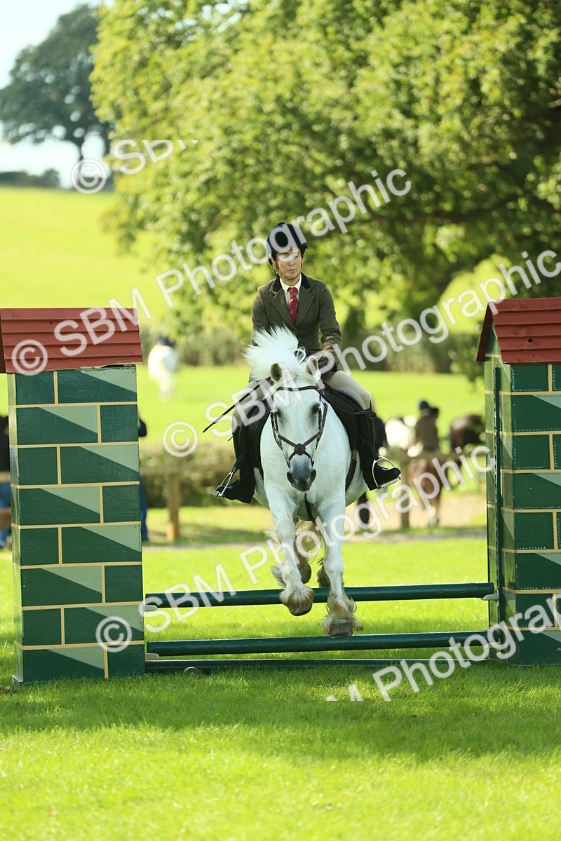 SBM_41999 - S29 - Novice & Newcomers Working Hunter Pony
