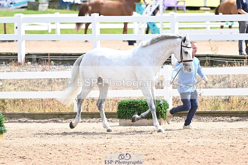 240717A-144837-02307 - Trot Up 2pm to 3pm - This folder is not in time order