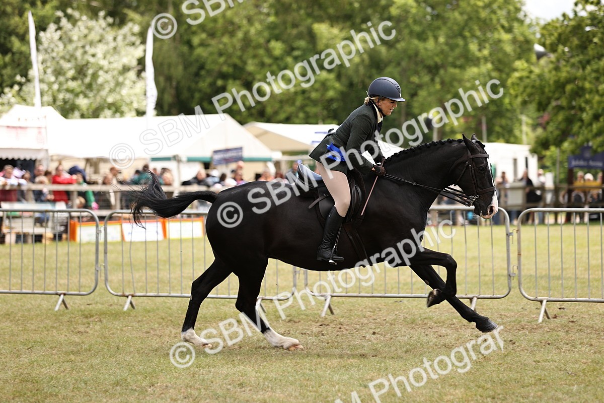SBM_14812 - Class 88-89 - LIHS BSHA Rising Star of Ridden Hunter Type