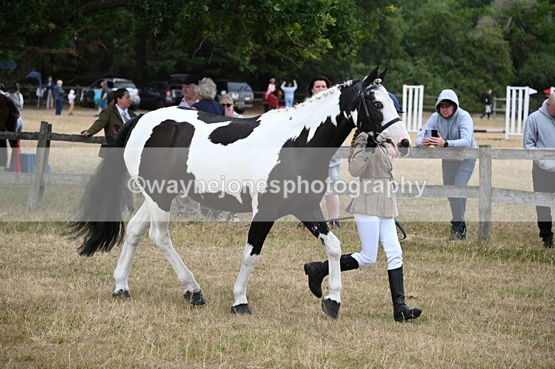 WJ6_8125 - Class 10 Coloured in Hand