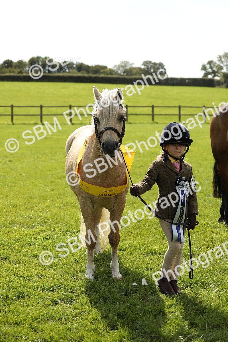 SBM_66383 - In Hand Pony & Youngstock Supreme Championship