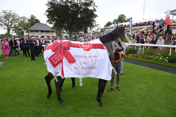 yr19082021r2-40 - Race 2 2.25pm Goffs UK Premier Yearling Stakes