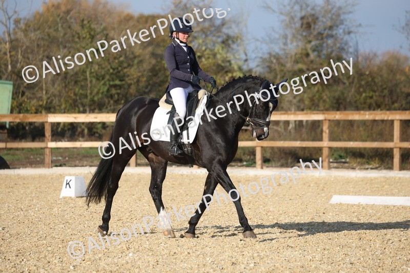 L20261031-0171 - Class 5 - Novice 2