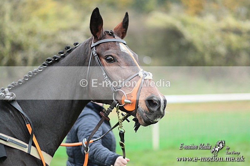 PtP 091124  150 - Knightwick Races Point-to-Point 09/11/24