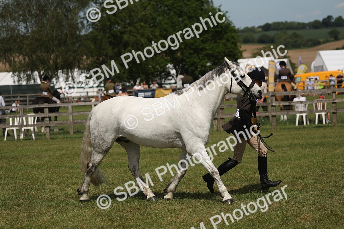 SBM_07625 - Class 26-30 - Mountain and Moorland Ridden