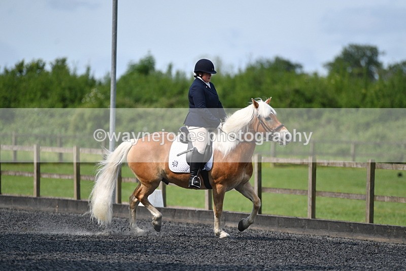 WJ5_9222 - Time 10:10 to 10:47