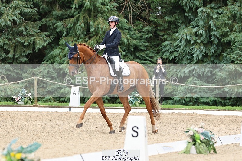 240810-155504-04115 - 208-Tom.Carter-Rubin.Regal