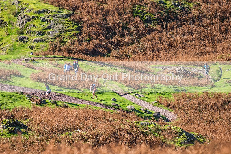 Lion  Lamb-2 - The Lion The Lamb and The Crags Fell Race Sunday 15th October 2023