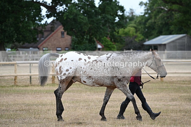 WJ6_7819 - Class 10 Coloured in Hand