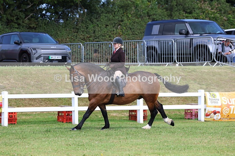 3E7A9868 - Class 5: Rising Star Lightweight/Heavyweight Cobs