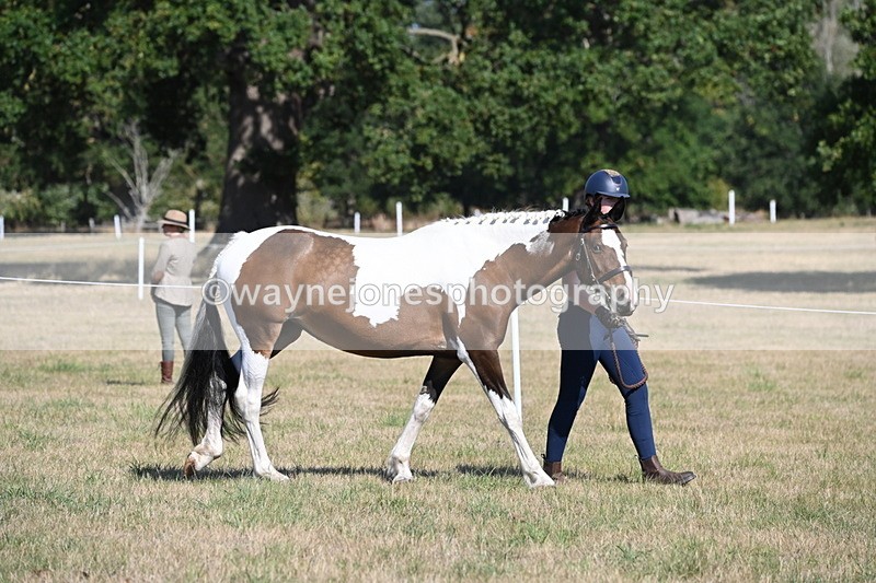 WJ6_4166 - Class 16 Condition & Turn Out
