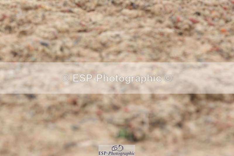 250622-140705-17147 - Cls 51 Elementary 6