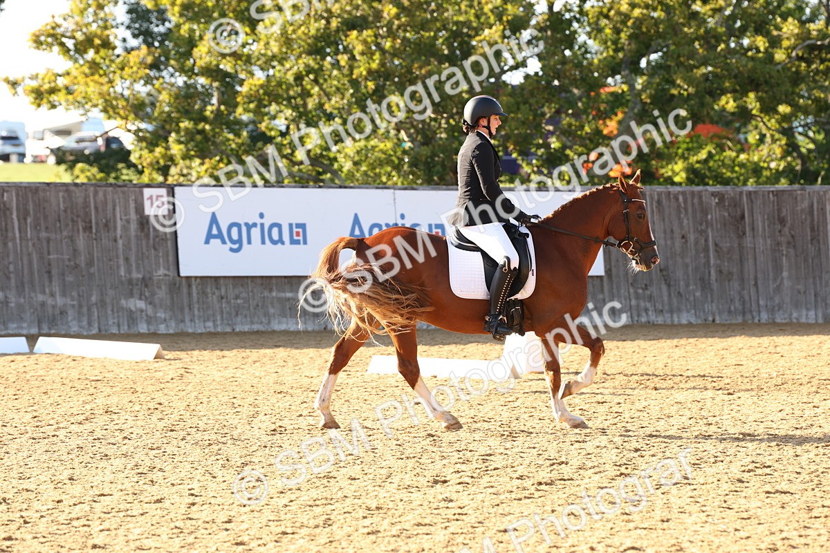 SBM_11677 - D9 - Small Tour Championship Prelim 3