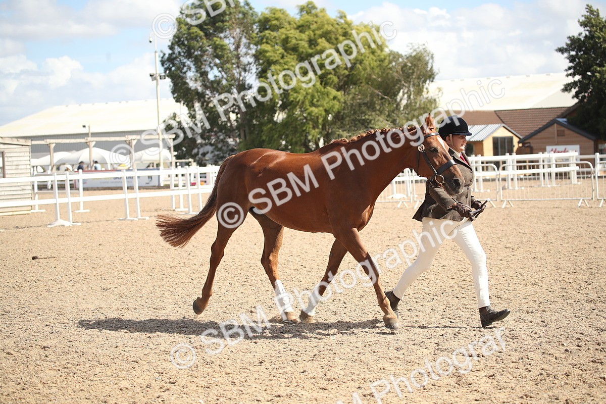 SBM_23132 - Class 606 - 2026 - Area - IH Pre Vet