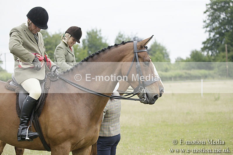 B230619-0959 - Bourne Valley Riding Club Summer Show 23/06/19
