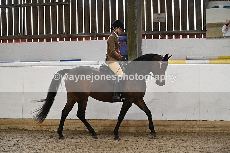 WJ7_4482 - Afternoon Champs