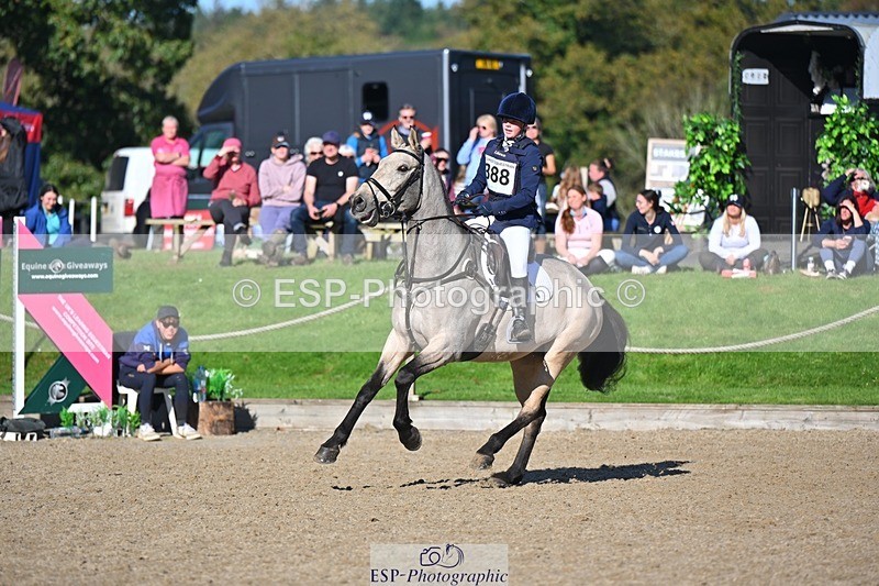 241027-120816-17145 - 388-Anaya.Stoneman-DUNTOATEE