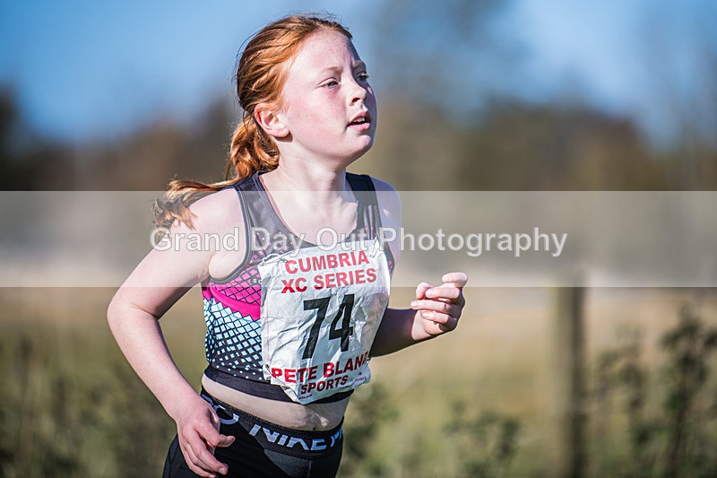 Cumbria XC-169 - Cumbria XC League Workington Saturday 26th October 2024