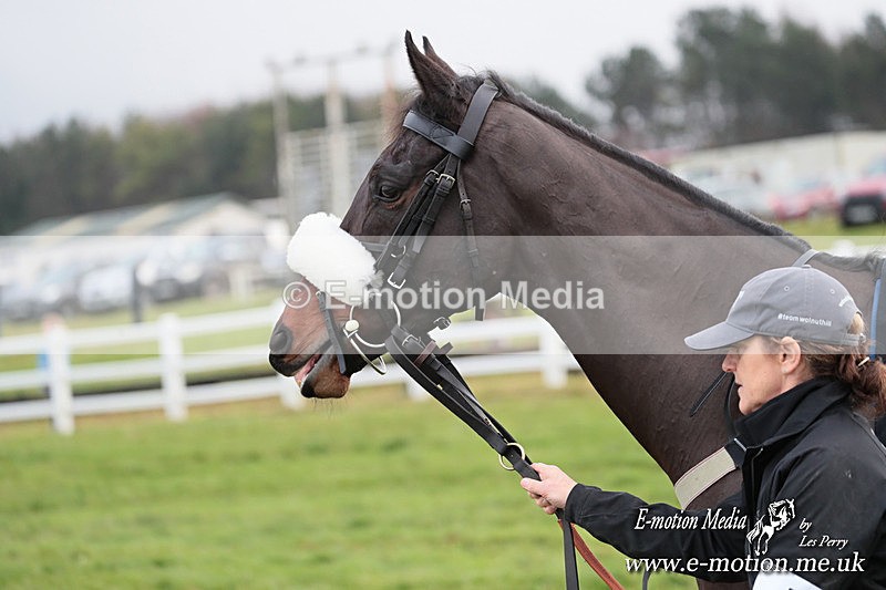 PtP 011224 48 - Hursley Hambledon Point-to-Point Larkhill 01/12/24