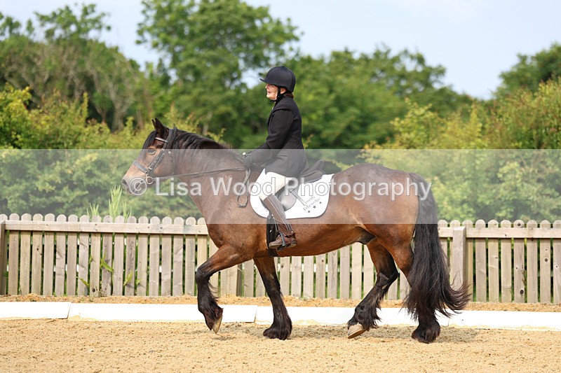 3E7A9033 - Class 1: Intro 1 2024 Section A