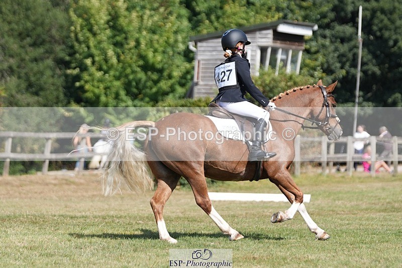 250823A-111834-28217 - Arena A