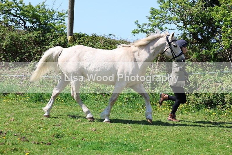 3E7A0238 - Class 19: Best Coloured in Hand