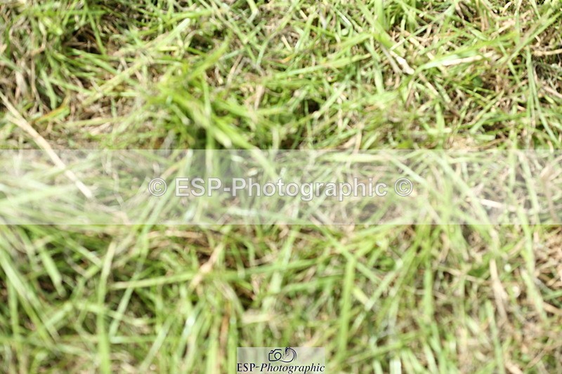 230820A-134200-00283 - Cls 2 Discovery & Open