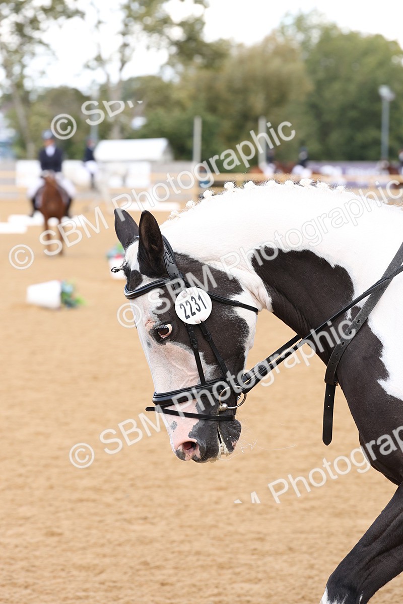 SBM_02455 - D10 - Small Tour Championship Prelim 2