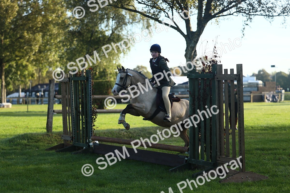 SBM_31854 - S28 - Nursery Stakes Working Hunter Pony