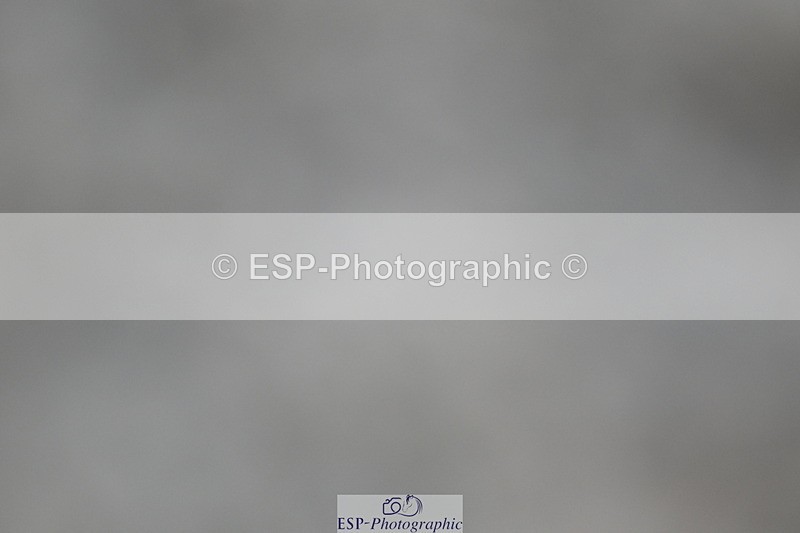 240611A-194130-01430 - 50cm