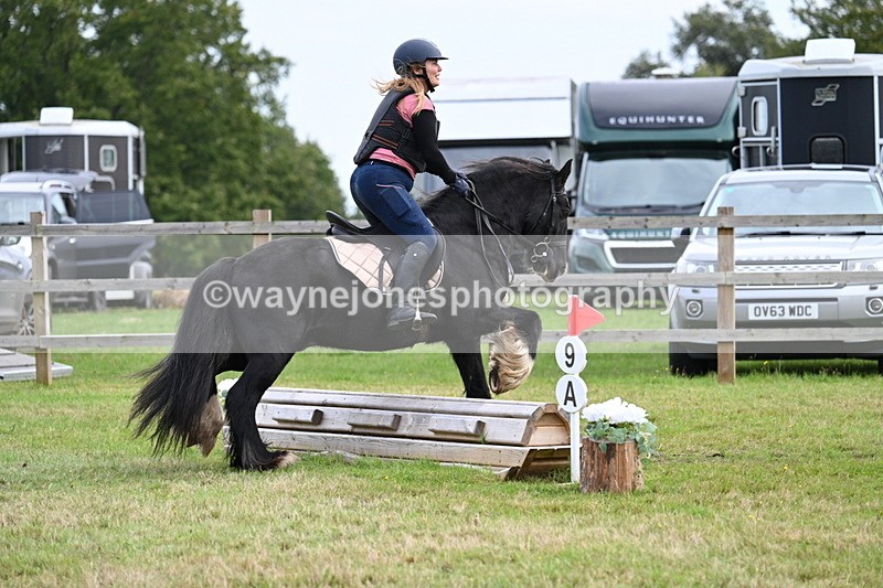 WJ7_7925 - 40cm Time 10:49 to 11:18