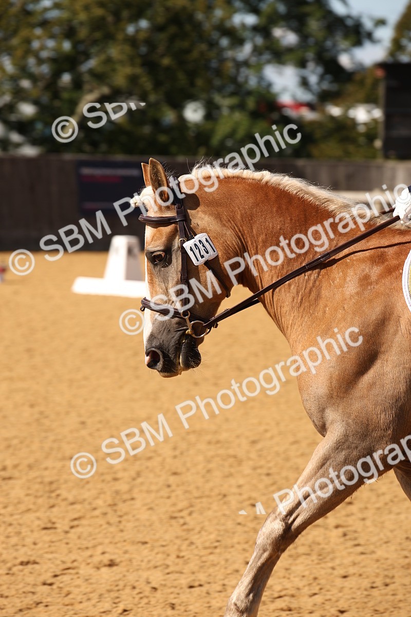 SBM_24248 - D5 - Small Tour Championship - Intro C