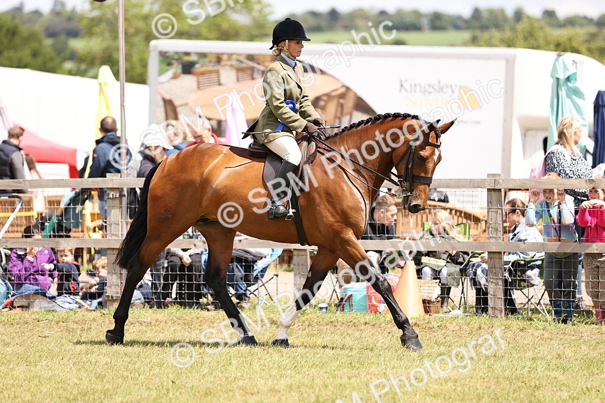 SBM_14779 - Class 88-89 - LIHS BSHA Rising Star of Ridden Hunter Type