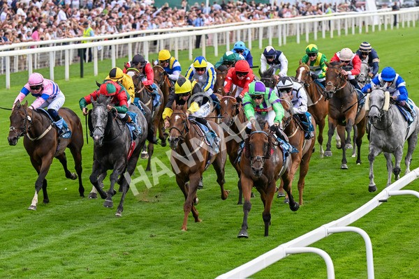 260725-Race 6-Billyb-0804 - Race 6 4.25pm Sky Bet Go-Racing-In-Yorkshire Summer Festival Handicap