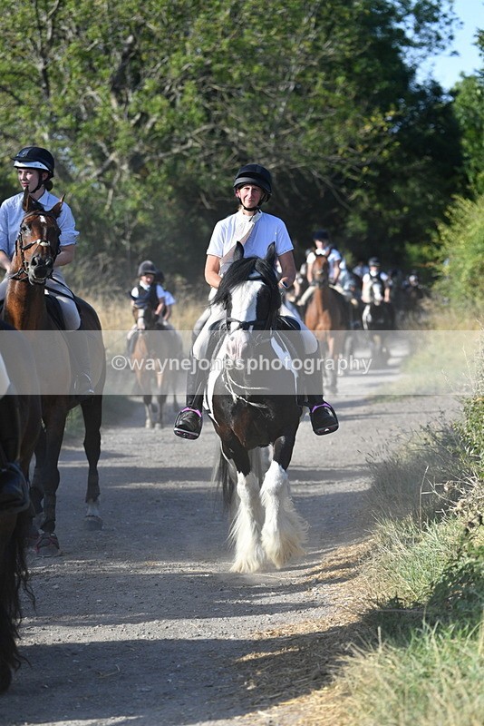 WJ5_4922 - Walk out with the hounds