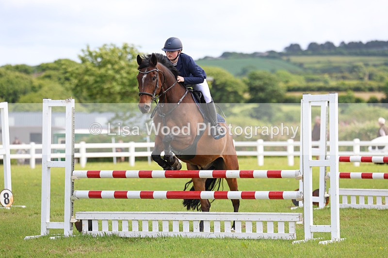3E7A7547 - Class 13: Senior British Novice/90cm open