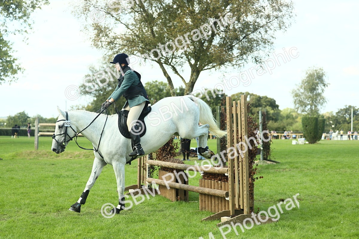SBM_50598 - S33 - Working Hunter & Working Show Horse