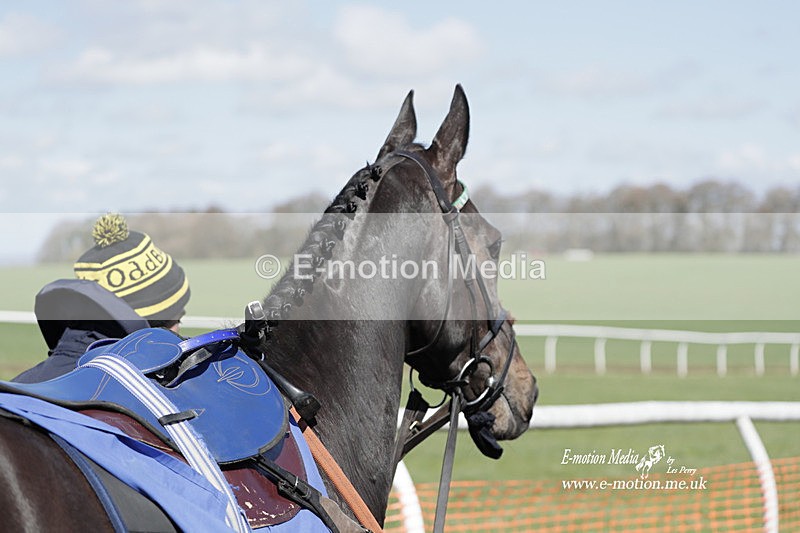 PtP 100423 556 - Old Berkshire Point-to-Point Lockinge 10/04/23