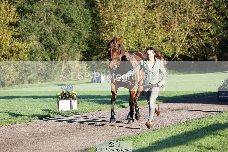 241027-083529-14679 - 412-Holly.Horton-MILTONHILL.MALENKI