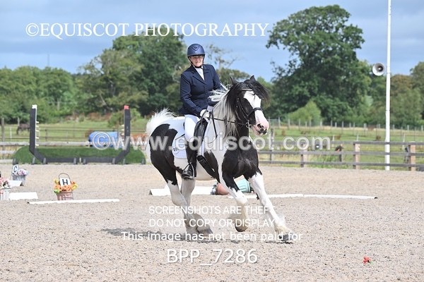 BPP_7286 - PRELIM 3