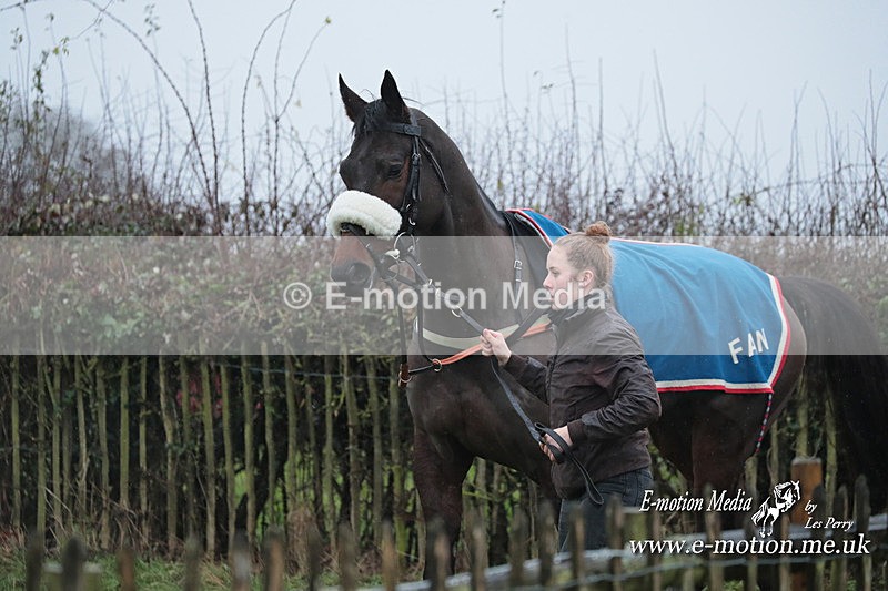 PtP 031223 6 - Wheatland Hunt PtP Chaddesley Races 03/12/23