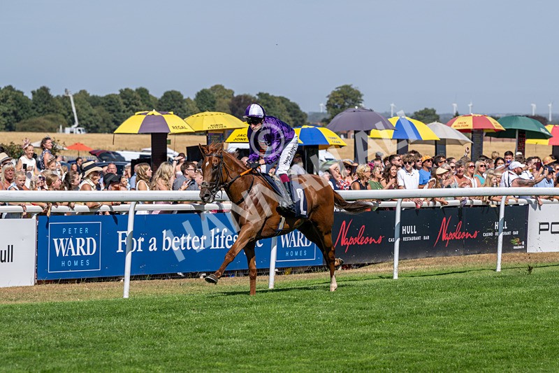 120826-Race 2-Empire Rising-5642 - Race 2 14.45pm 911 At Porsche Centre Hull EBF Restricted Maiden Stakes