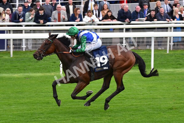 yr07102022r2-19 - Race 2 2.40pm William Hill Autumn Mile