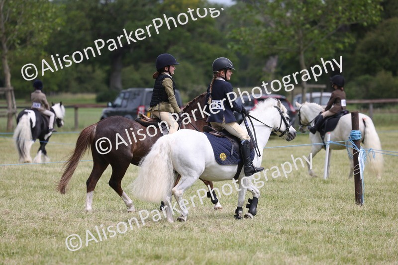 20260614-4112 - Class 24 - Mini and Major Pairs Jumping