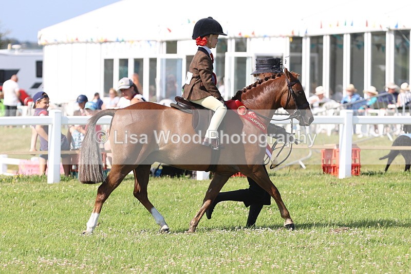 JPP_1651 - Best Rider Championship