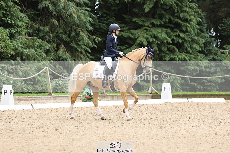 240810-143303-03671 - 301-Sophia.Longworth-Don.Deluxe