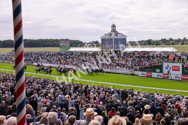 yr17082022r1-038 - Race 1 1.50pm Sky Bet & Symphony Group Stakes